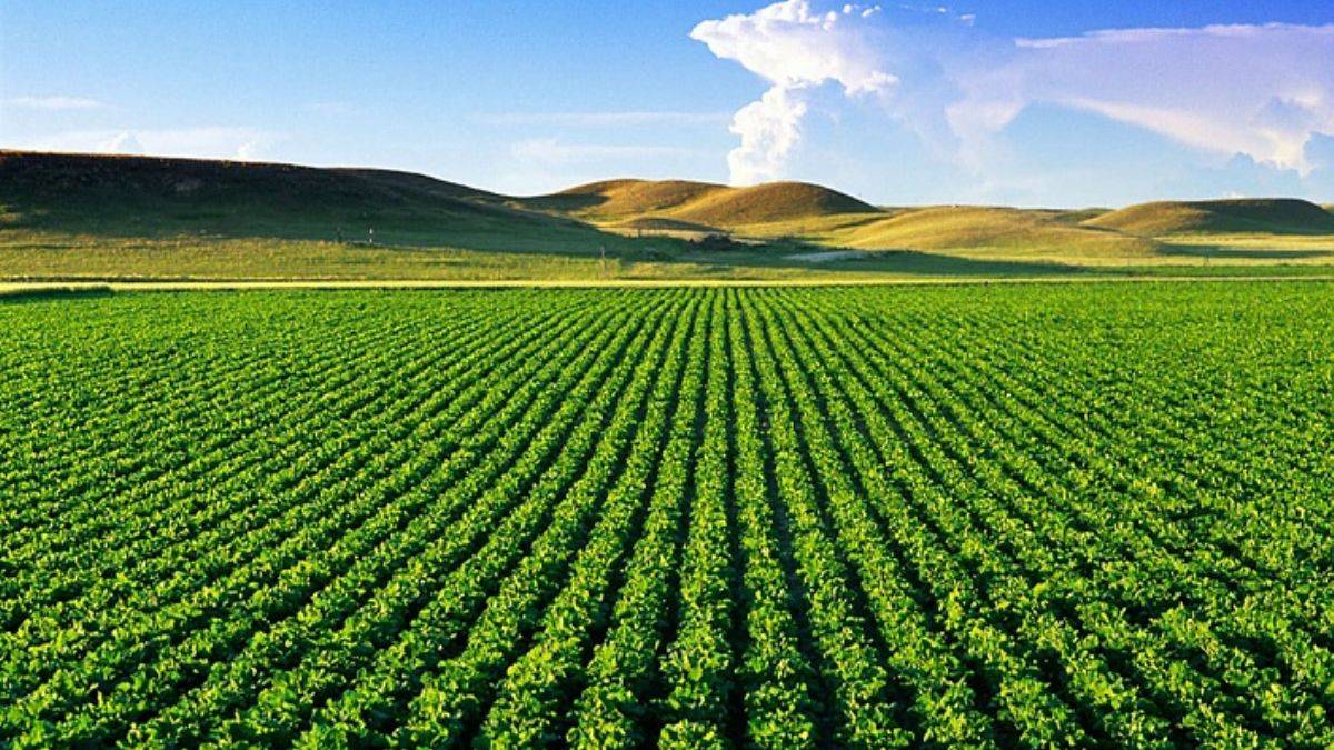 Tarımsal Destek Ödemeleri ne zaman verilecek?