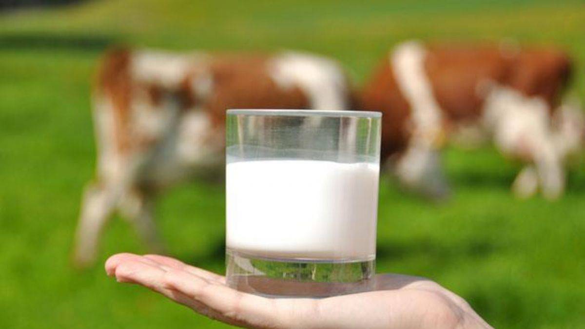 Süte zam mı geldi? Güncel süt fiyatları