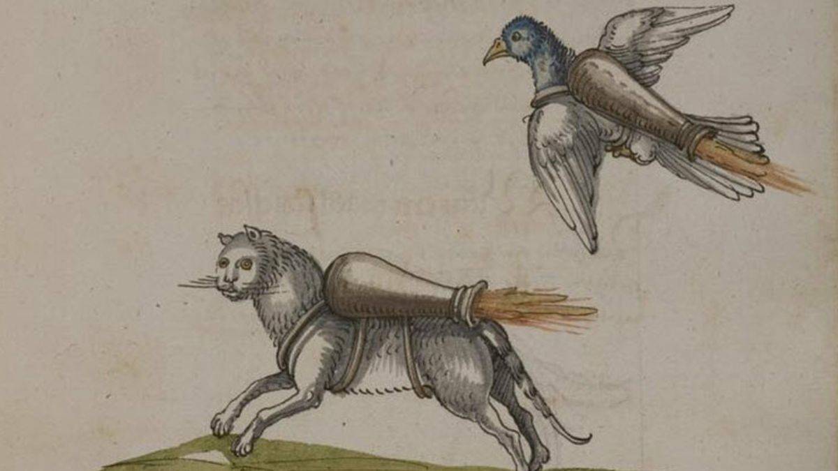 Savaşlarda mühimmat olarak kullanılan “Roket Kediler”