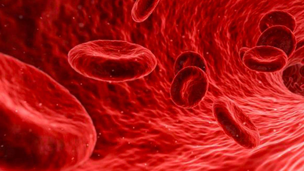 Tüm dünyayı heycanlandıracak çalışma: Bilim insanları yaşlanmayı tersine çevirdi