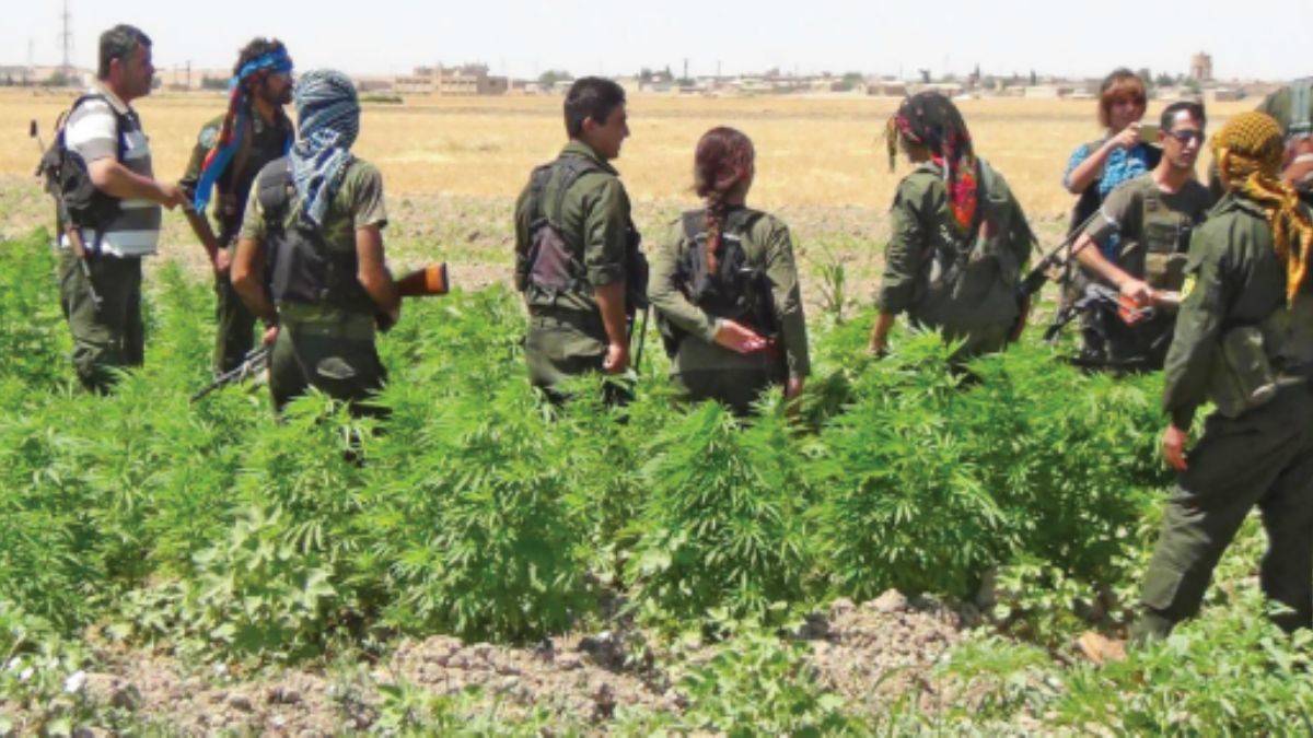 'PKK, Suriye'deki uyuşturucu ağının göbeğinde'