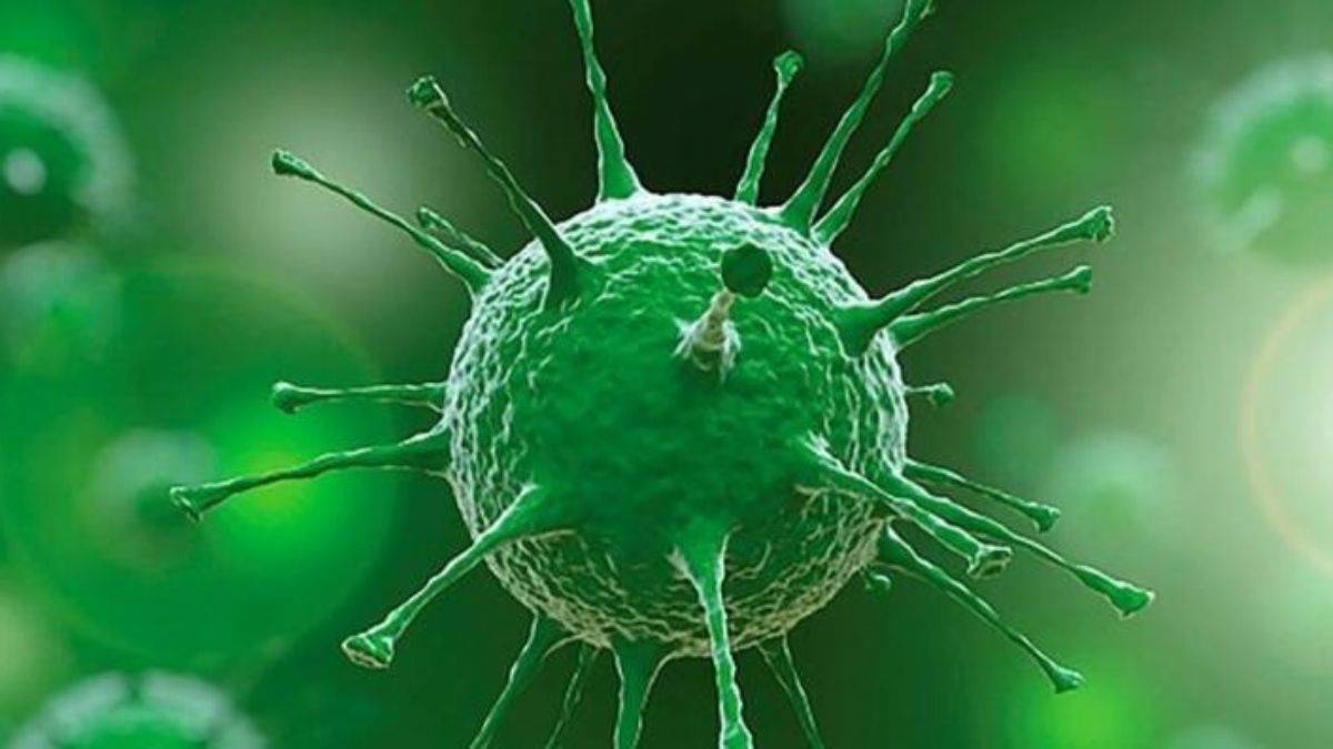 Güney Afrikalı doktorlardan Omicron-Delta karşılaştırması