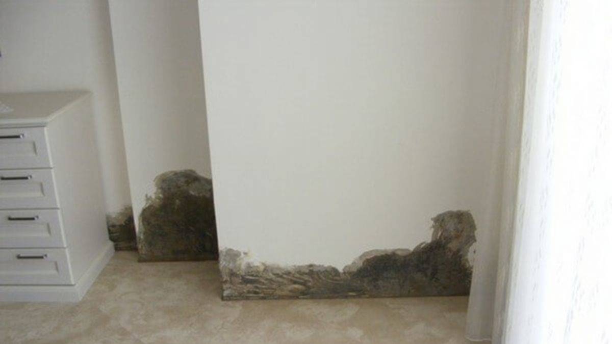 Evde rutubeti böyle önleyin!