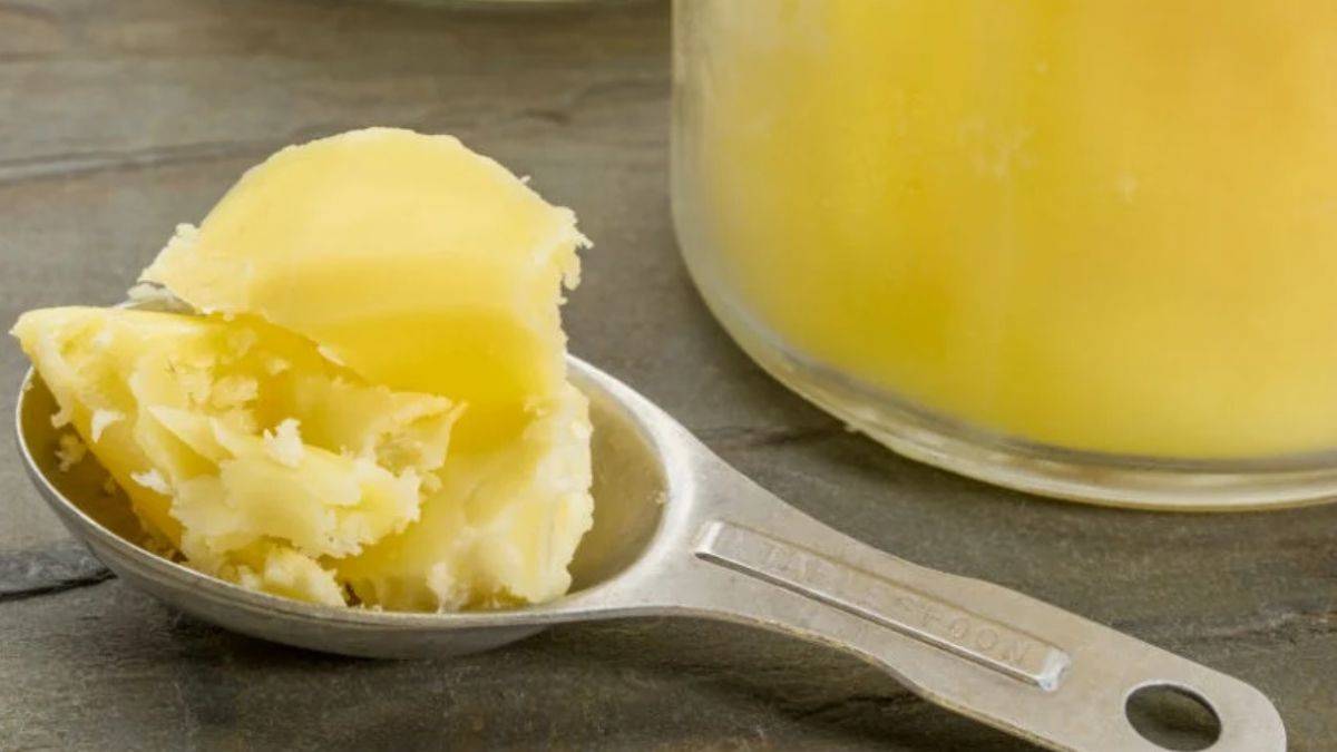 Revgan-i sade nedir?