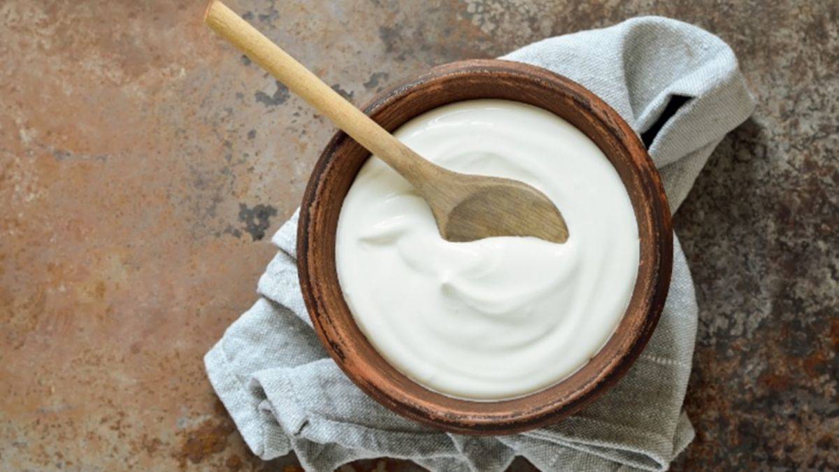 Evde mayaladığımız yoğurt neden çabuk ekşiyor?