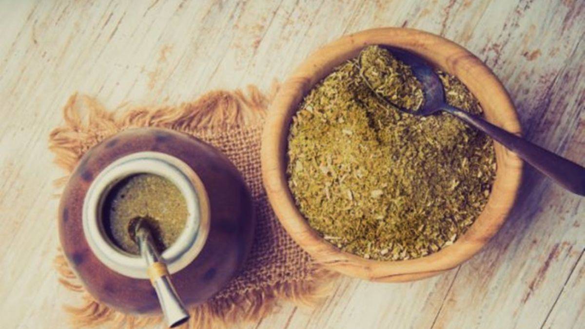 Yerba mate nedir?