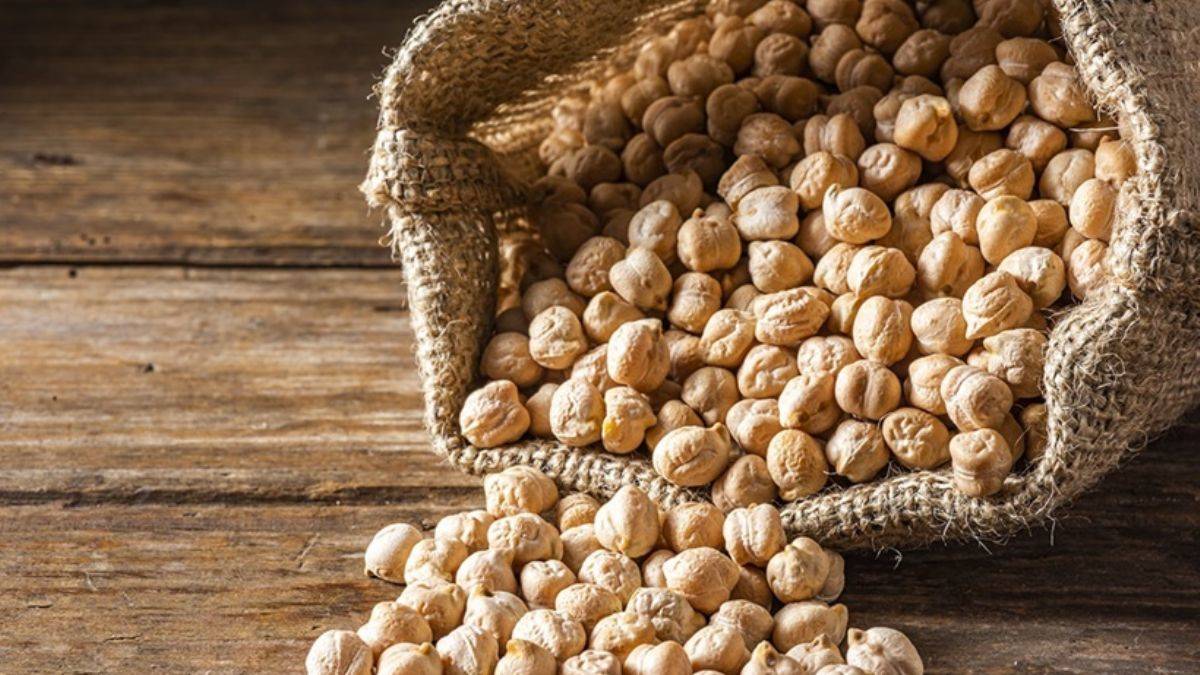 Nohut mayası nasıl hazırlanır?