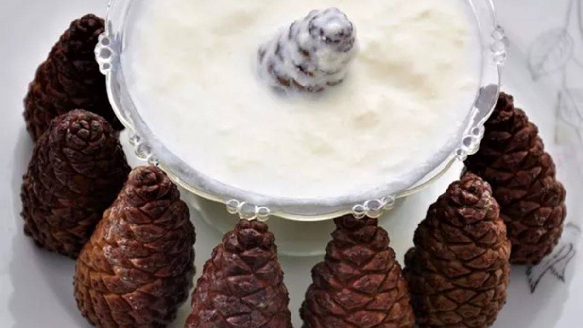 Çam kozalağıyla nasıl yoğurt mayalanır?