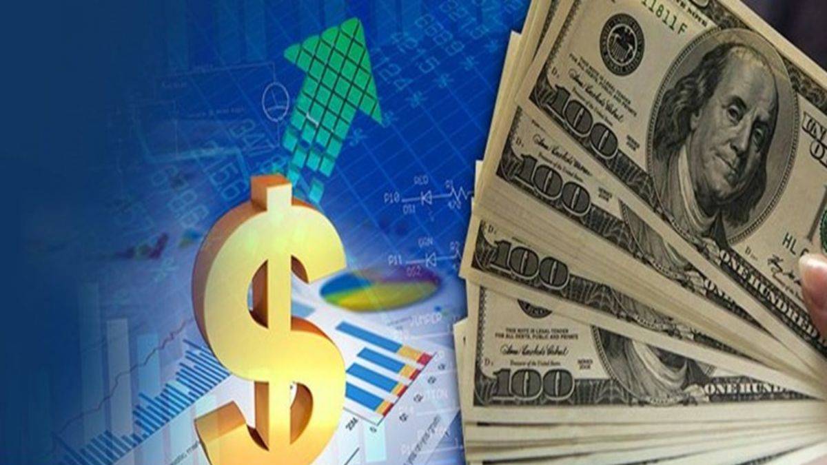 Döviz kuru vatandaşı nasıl etkiledi? Vatandaşın alım gücü nasıl düştü?