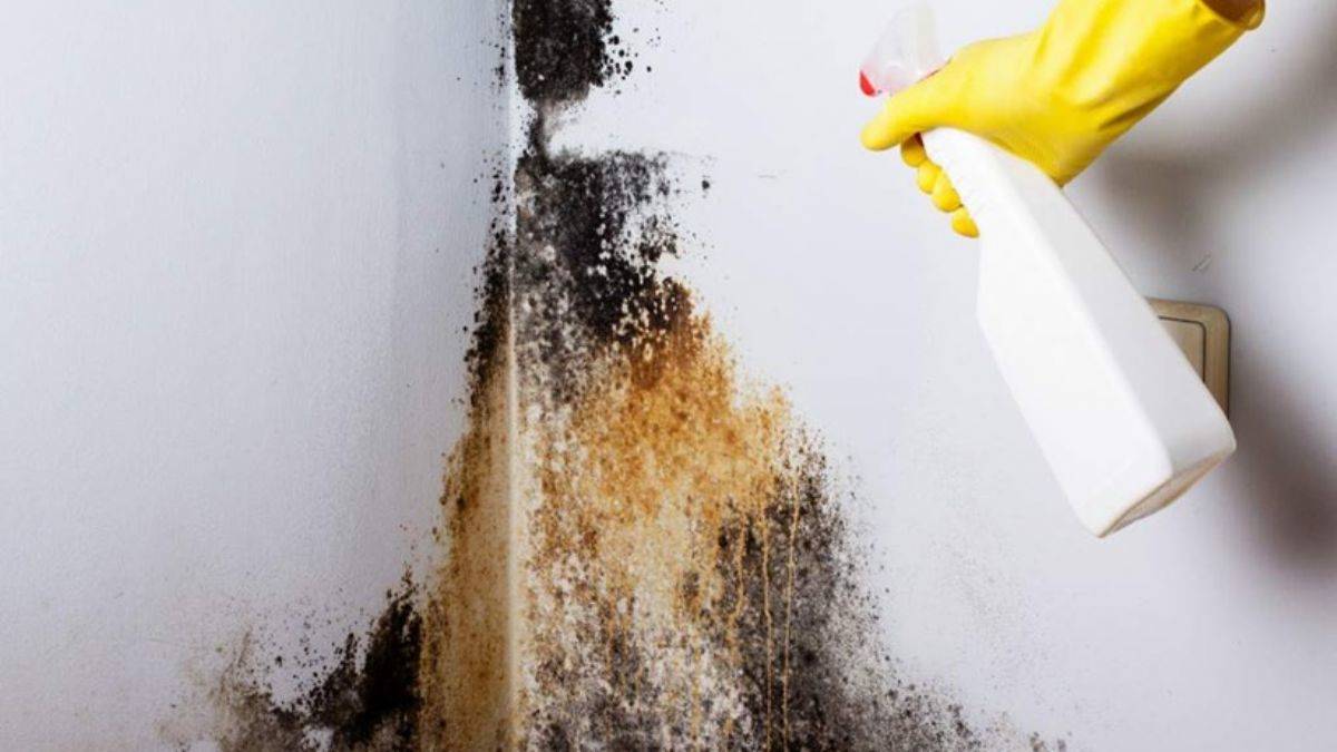 Rutubet lekeleri nasıl temizlenir?