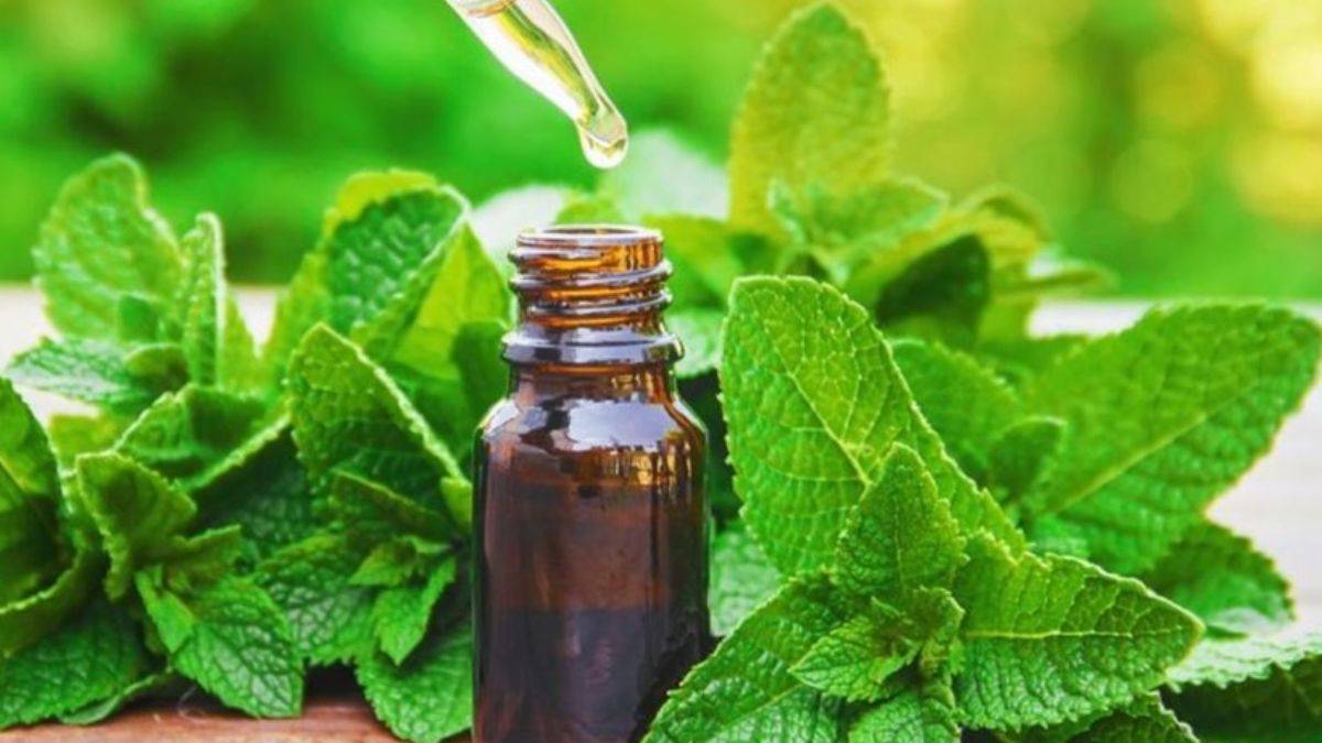 Baş ağrılarınıza nane yağıyla dur deyin!