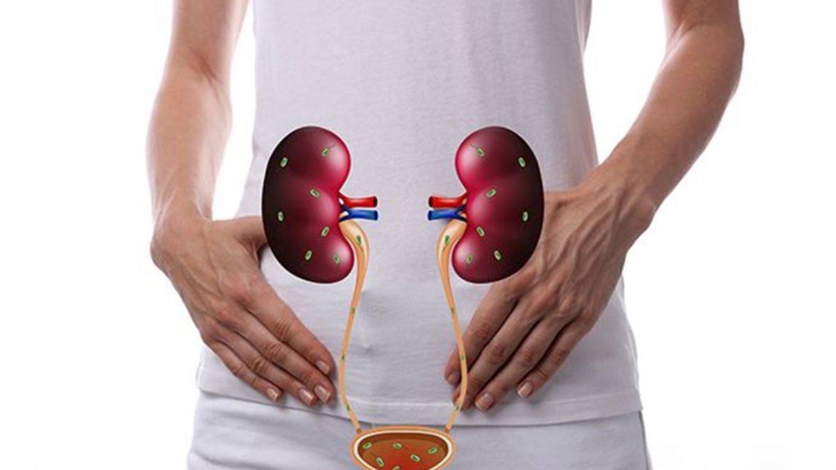 Böbrek kanseri riskini artıran 8 önemli neden
