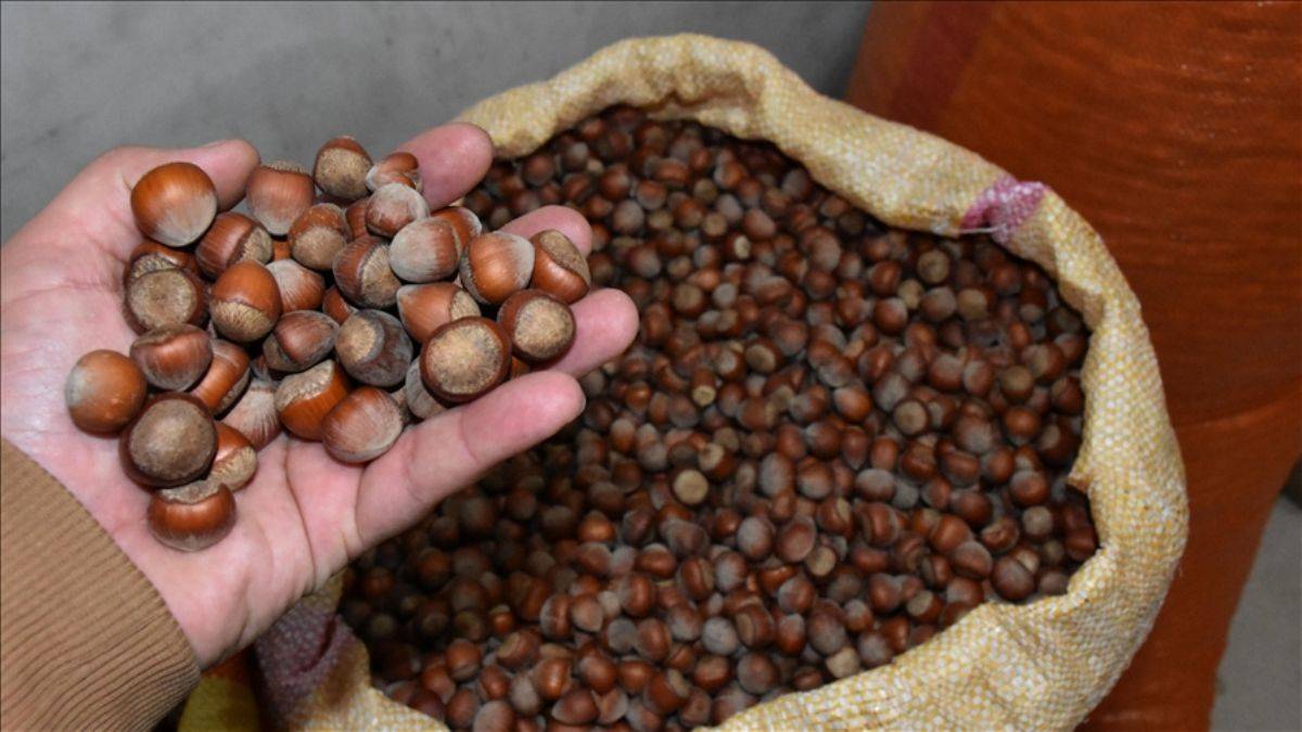 37 TL'den alıcısı varken 30 TL'ye geriledi