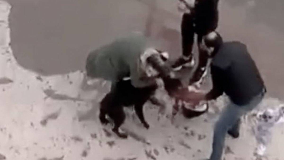 Gaziantep Valiliği'nden pitbull dehşeti ile ilgili açıklama