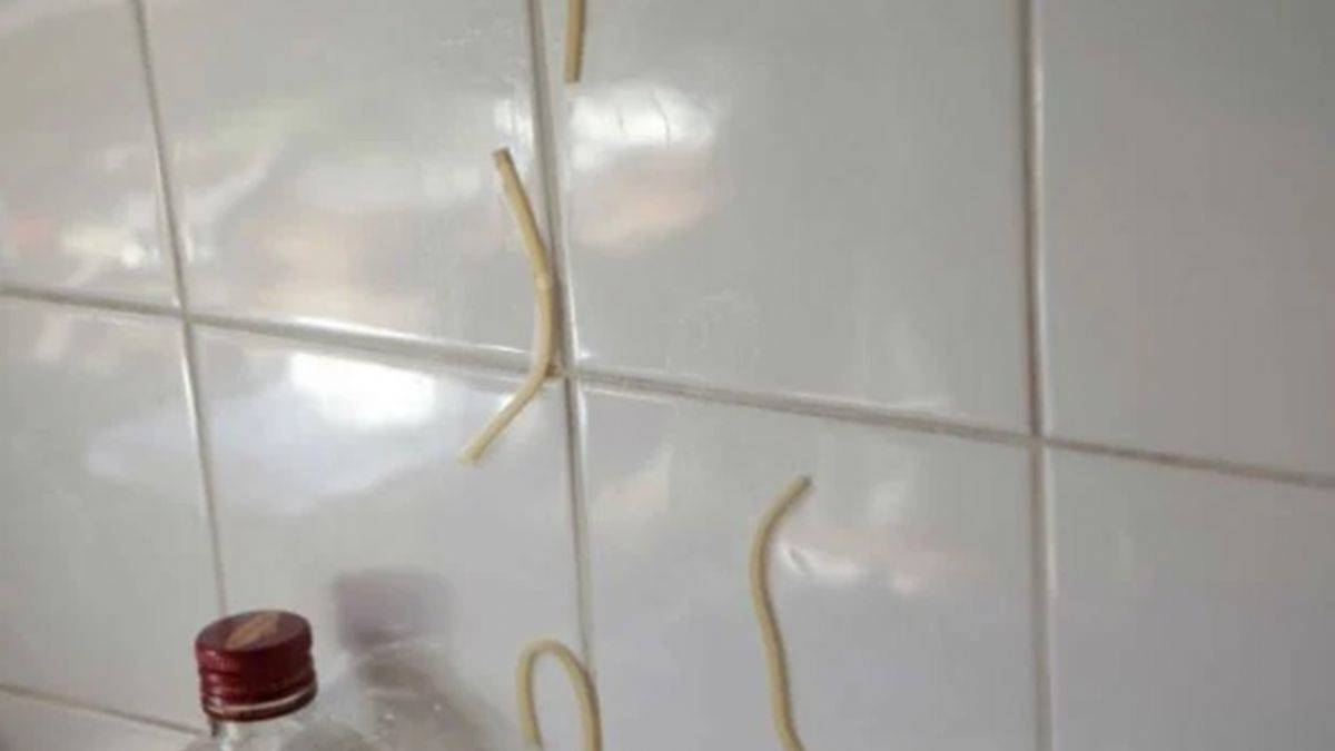 Makarnayı duvara atmayın, çünkü...