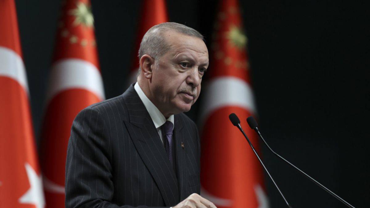 Erdoğan'dan belediyelere ''sokak hayvanları'' çağrısı