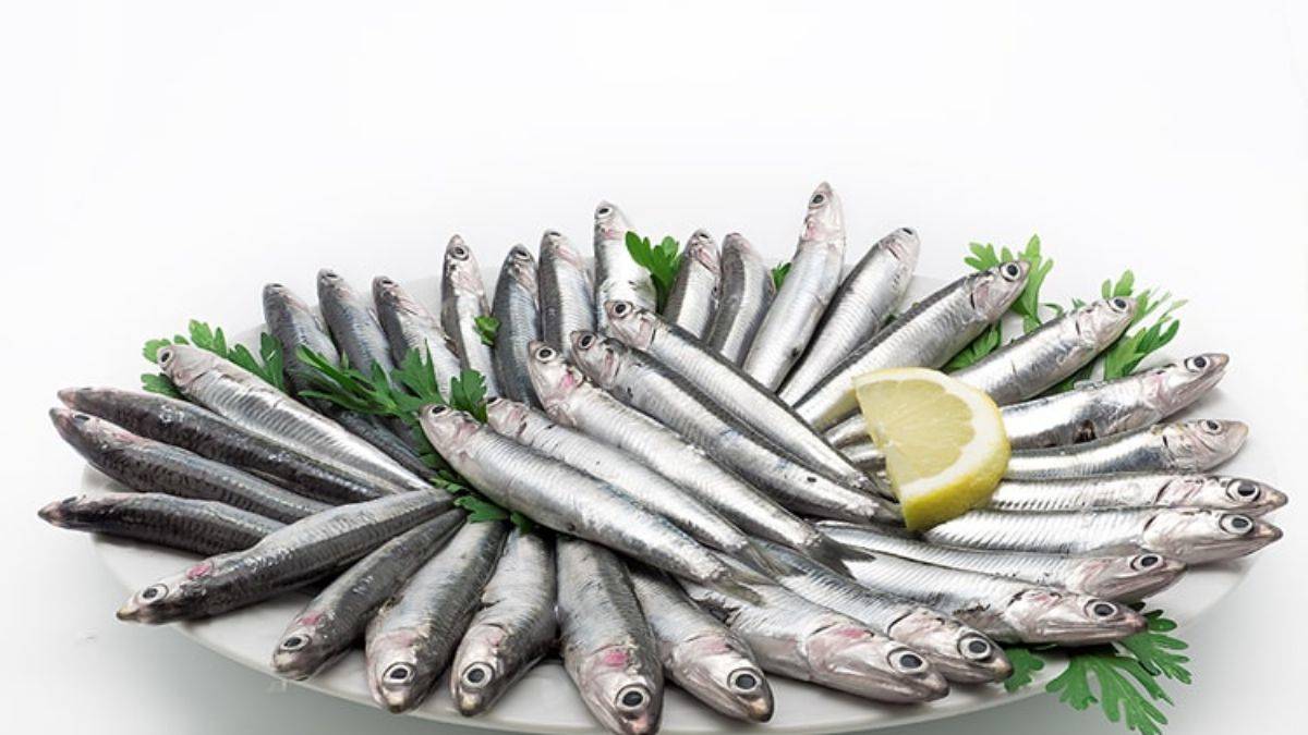 Balık fiyatları düştü mü? Hamsi, istavrit, palamut ucuzladı mı?