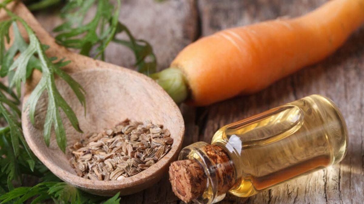 Kadınlar havuç tohumu çayı içmeli! Çünkü...