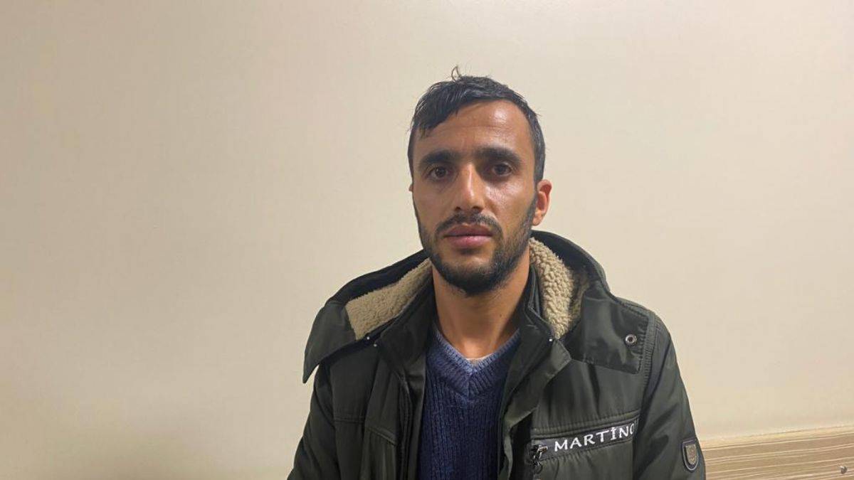 Asiye’nin babası: İşimden kovuldum, köpekler patronumun