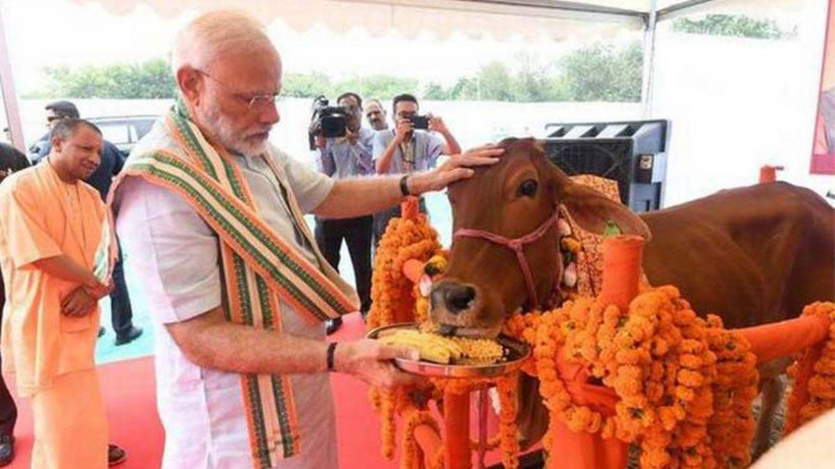 Narendra Modi: 'İnek, bizim için anne ve kutsaldır'