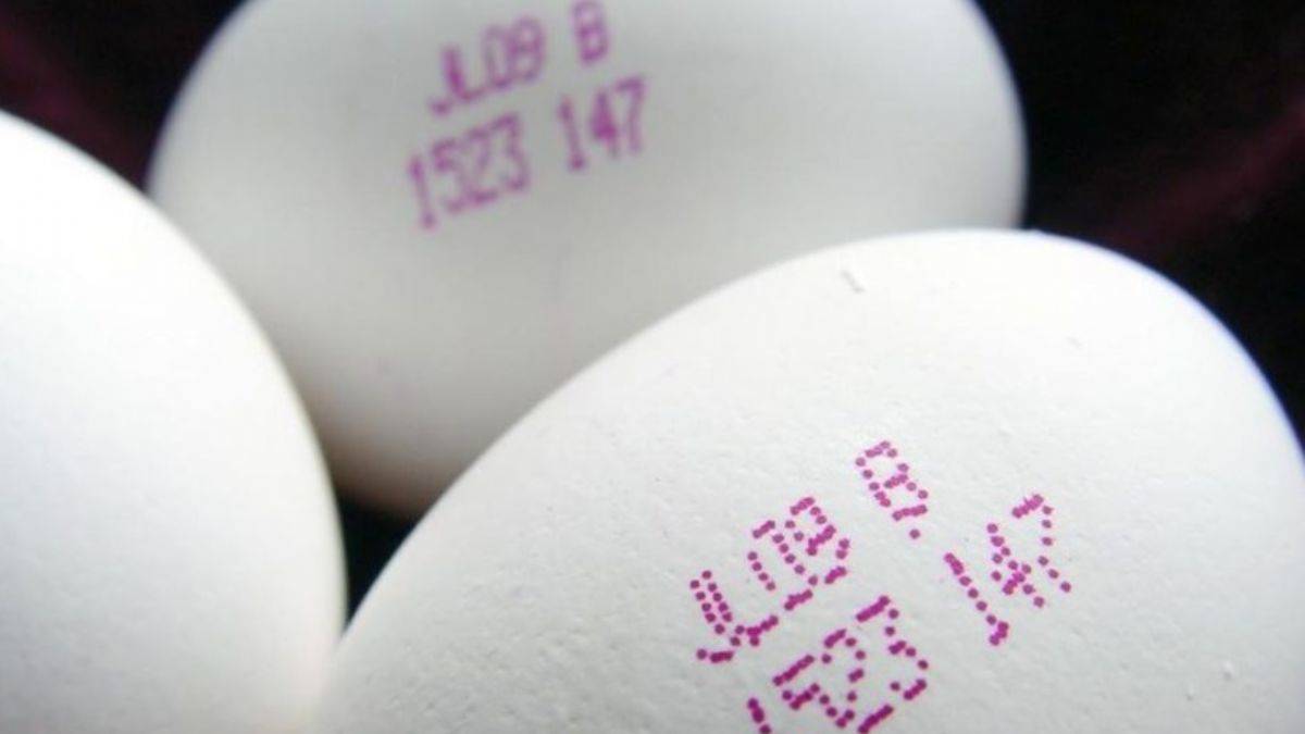 Yumurtanın üstünde bulunan kod ne anlama geliyor?