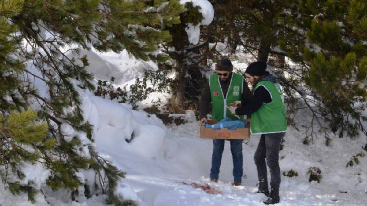İHH gönüllüleri yaban hayvanları için doğaya yiyecek bıraktı