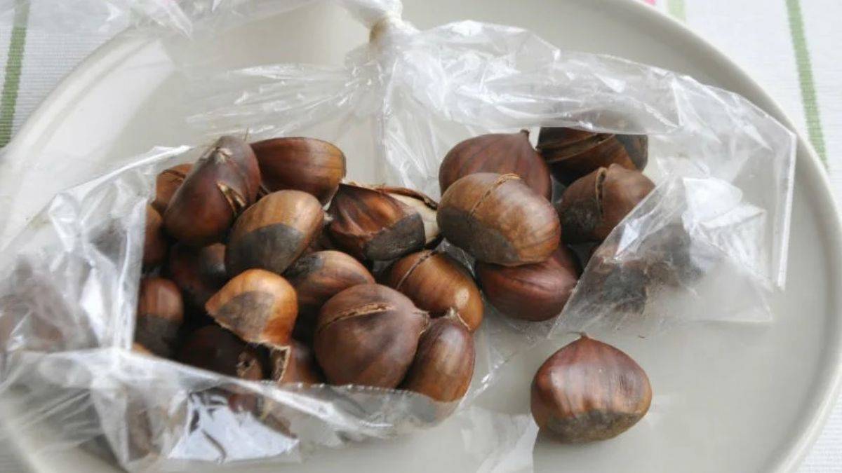 Fırın torbasında kestane pişirilir mi?