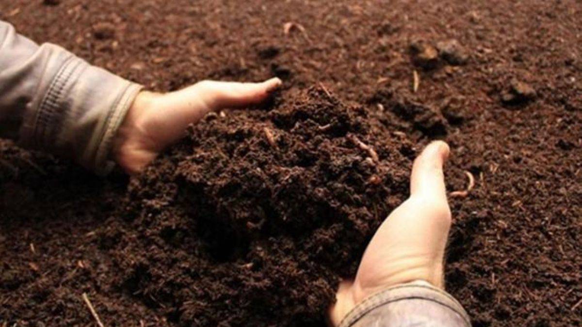 Tarım Krediden gübrede indirim