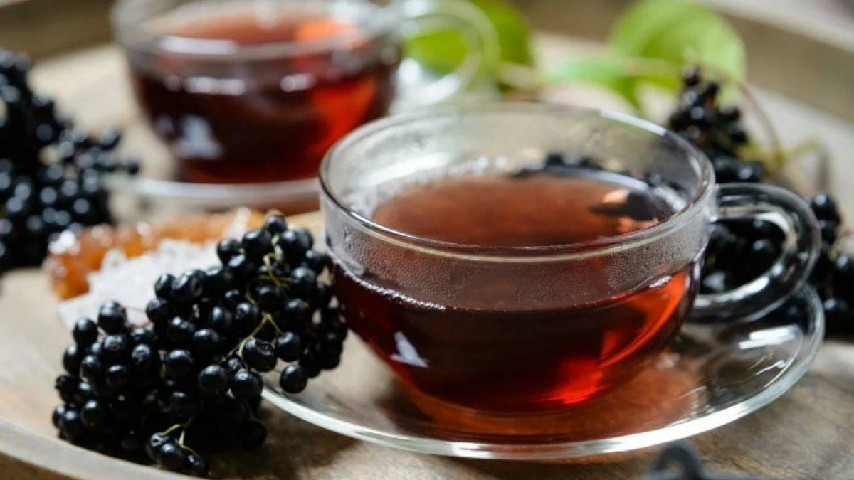 Mürver yağ yakımına yardımcı oluyor!