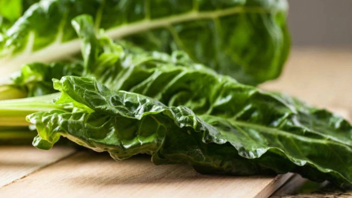 Tirşik otunun öyle zararları var ki!