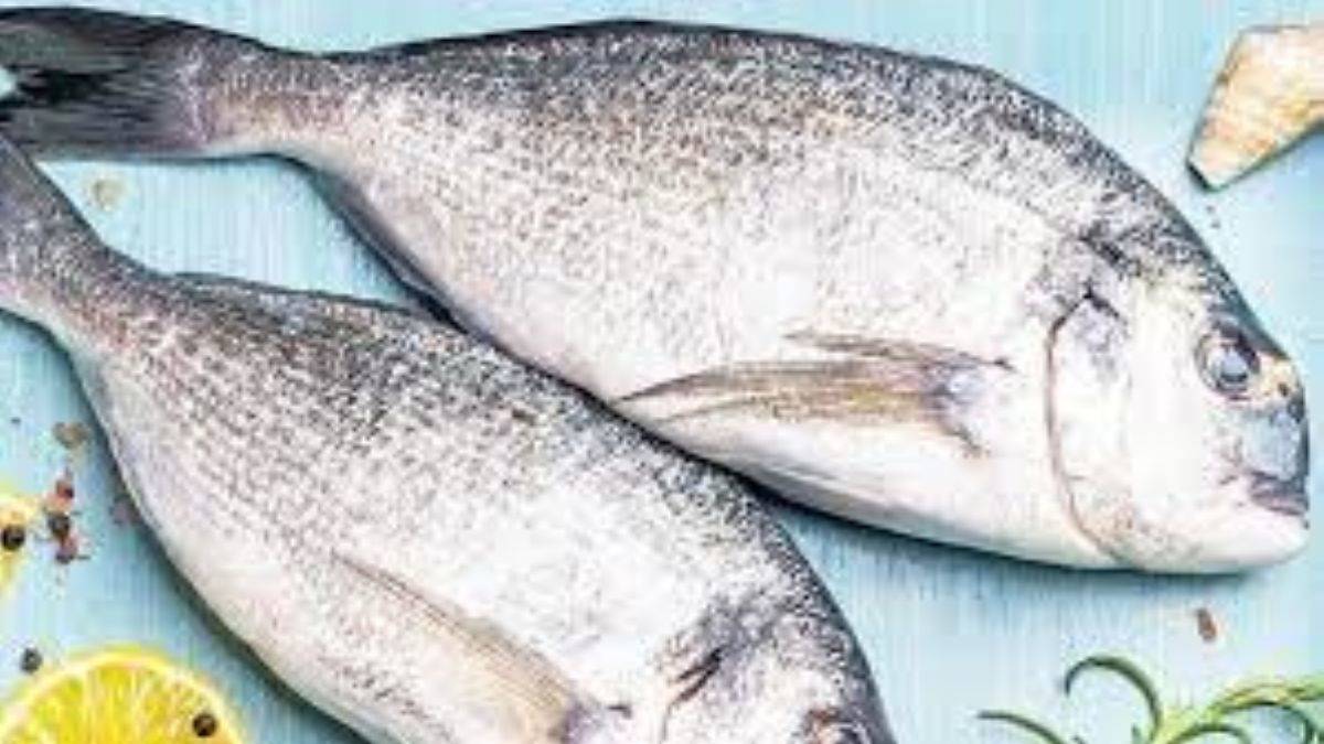 Balığın yanında tüketilebilecek alkolsüz içecekler nelerdir?