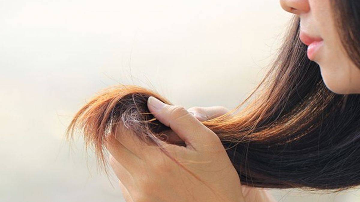 Saçlarınızdaki kuruluğu böyle giderin