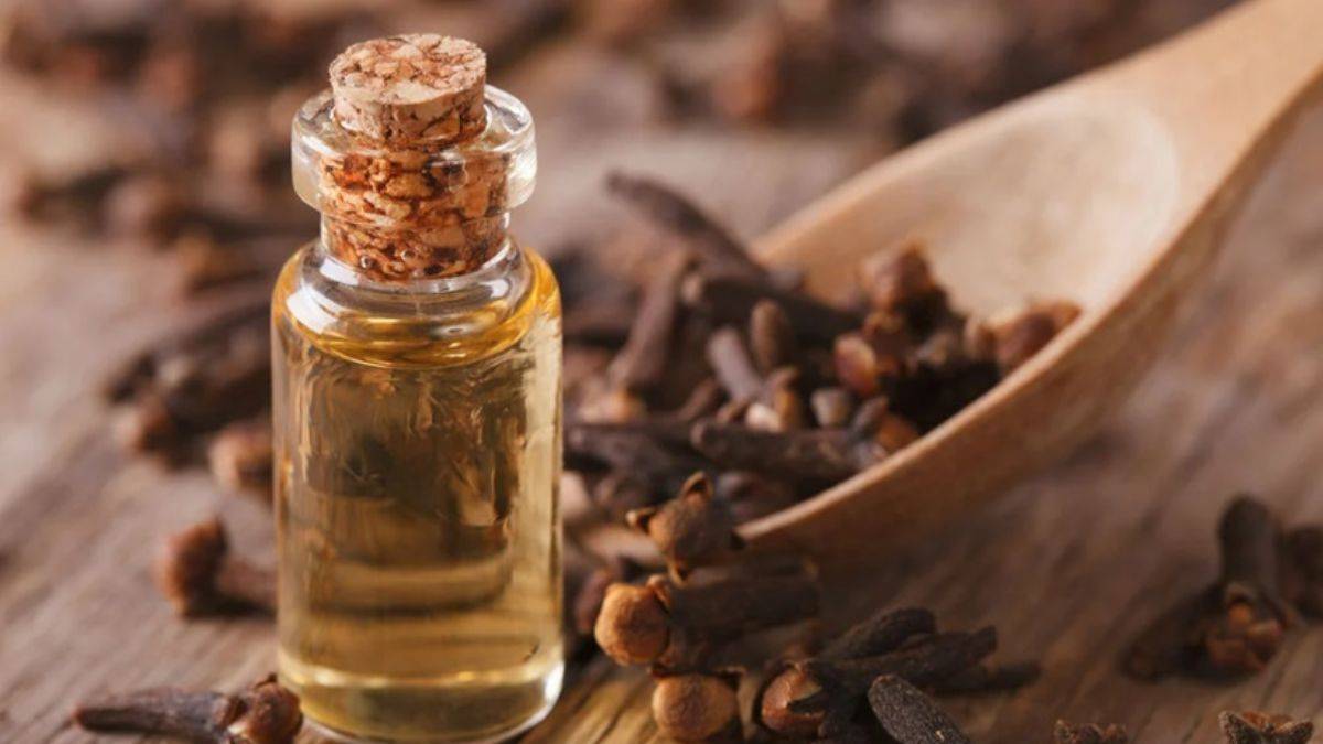 Karanfil yağı diş ağrılarını geçiriyor