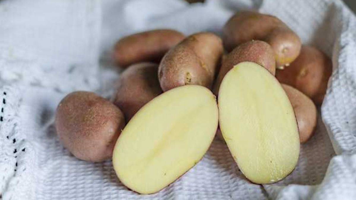 Pas lekelerine patates sürerseniz...