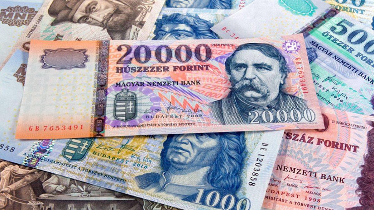 Macaristan Merkez Bankası'ndan 7 haftada 7. faiz artışı