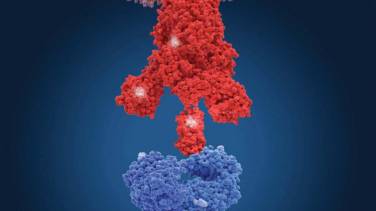 Omicron varyantının yeni ve en önemli belirtileri açıklandı