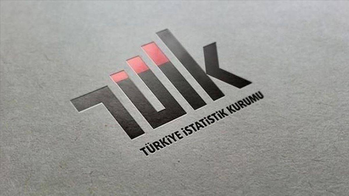 TÜİK'in Resmi İstatistik Programı yayımlandı