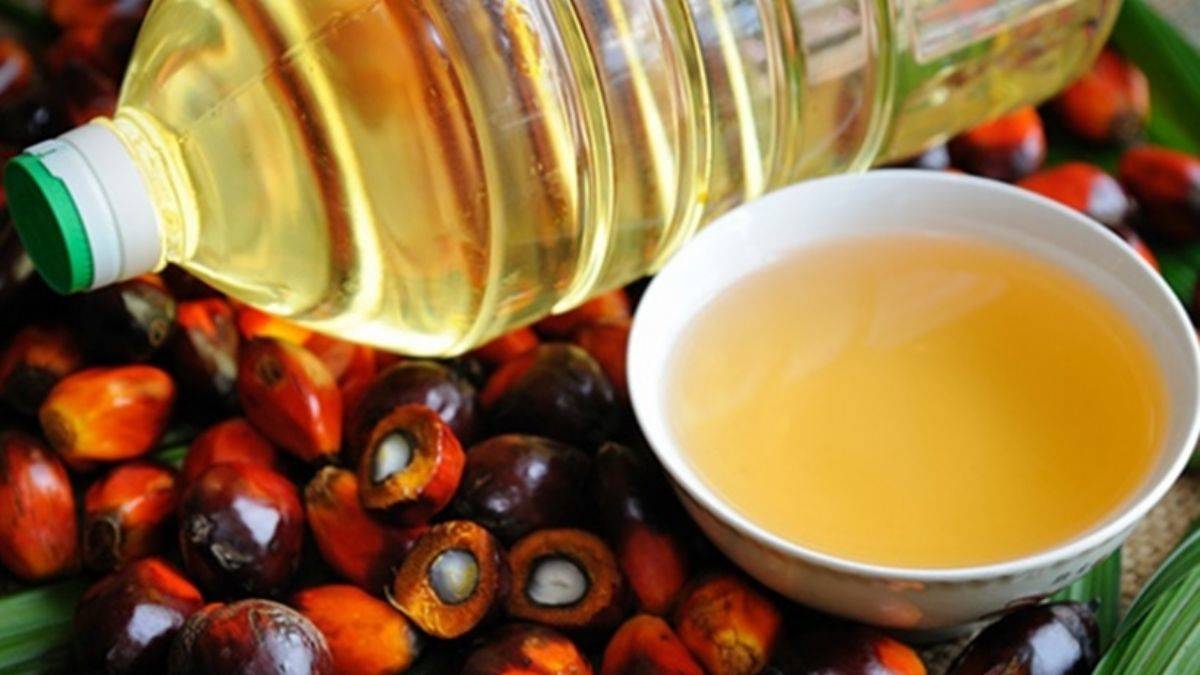 Hurma (palm) yağını biliyor musunuz?