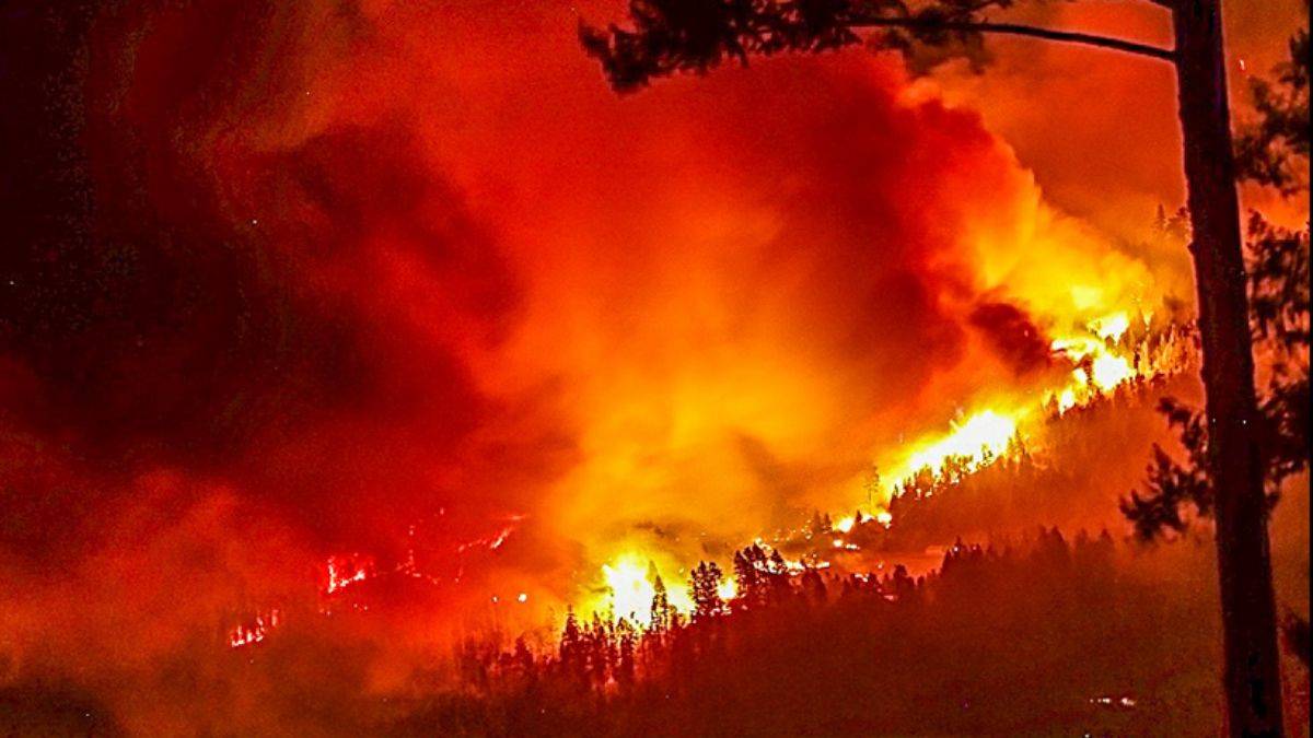 Colorada tarihinin en büyük yangını kar yağışlarıyla söndü