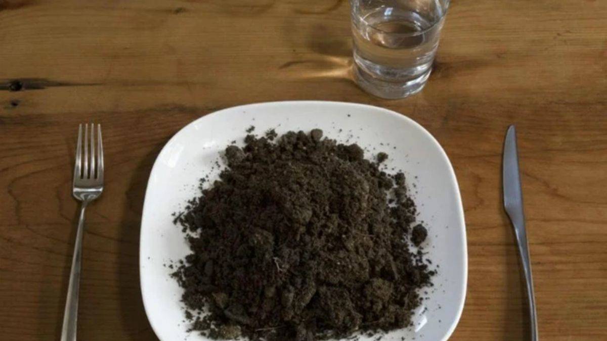 Canınız toprak yemek istiyorsa...