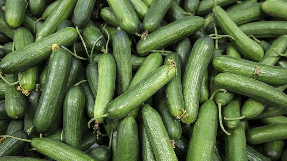 İstanbul'da aralık ayının zam şampiyonu salatalık