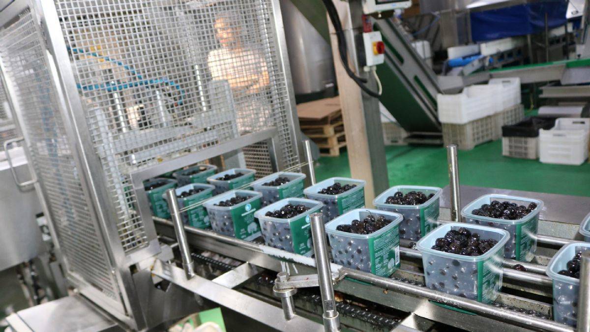 Marmarabirlik'ten ortaklarına 258 milyon TL kredi tahsisatı