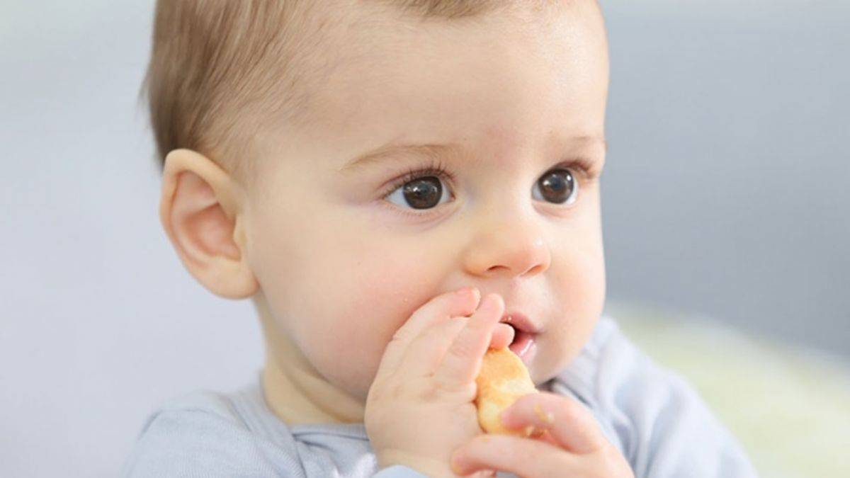 8 aylık bebeğin gelişimi nasıl olmalı?