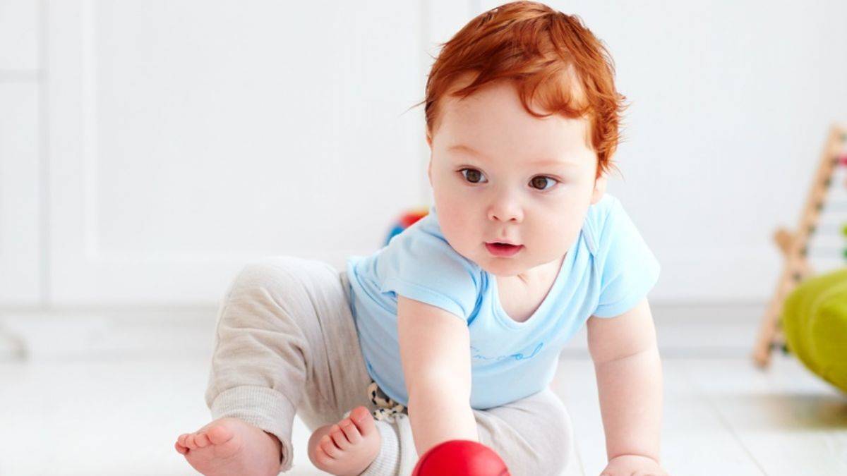 14 aylık bebeğin gelişimi nasıl olmalı?