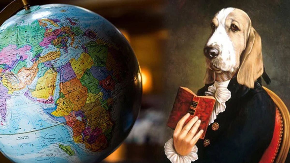 Yeni bir araştırmaya göre köpekler ‘birden fazla dili’ anlıyor olabilir