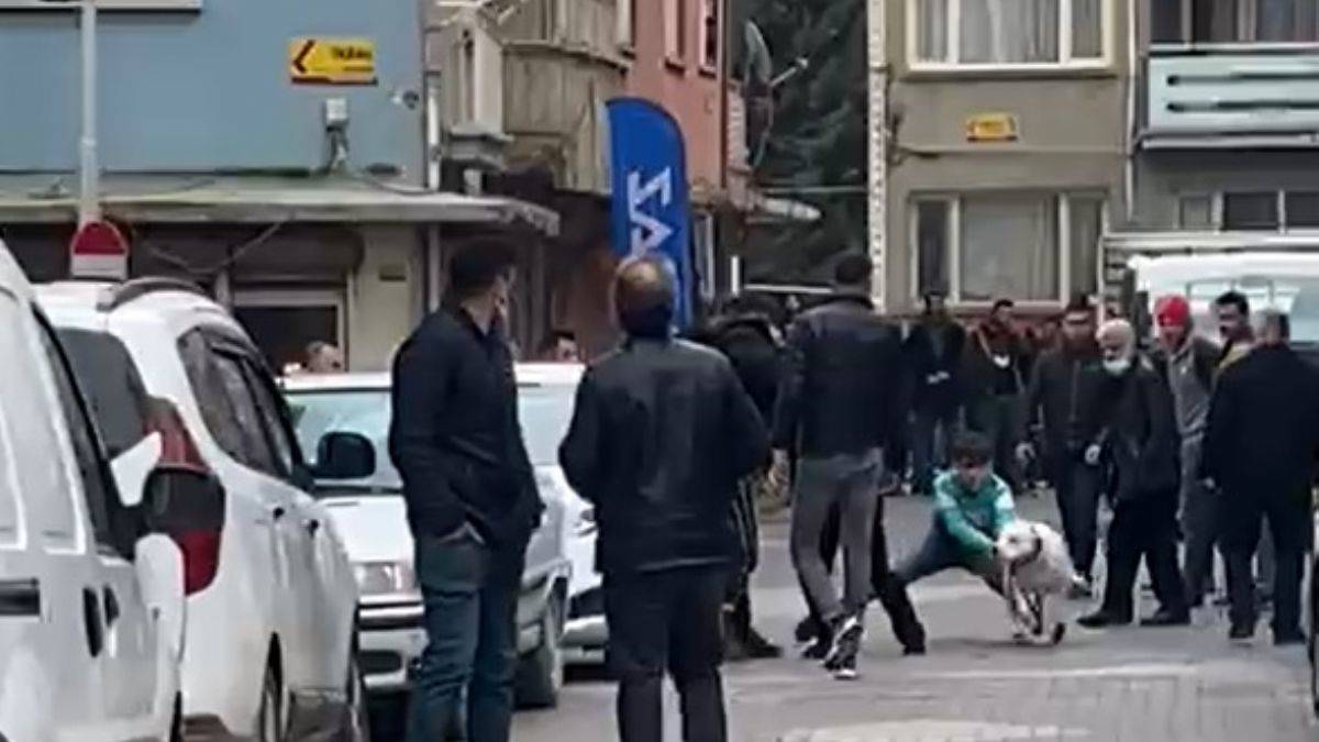 'Pitbull'lu kavga kamerada; 3 yaralı