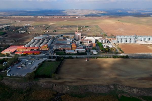 Trakya Birlik ülkenin ayçiçeği ihtiyacının tamamını üretmeyi hedefliyor