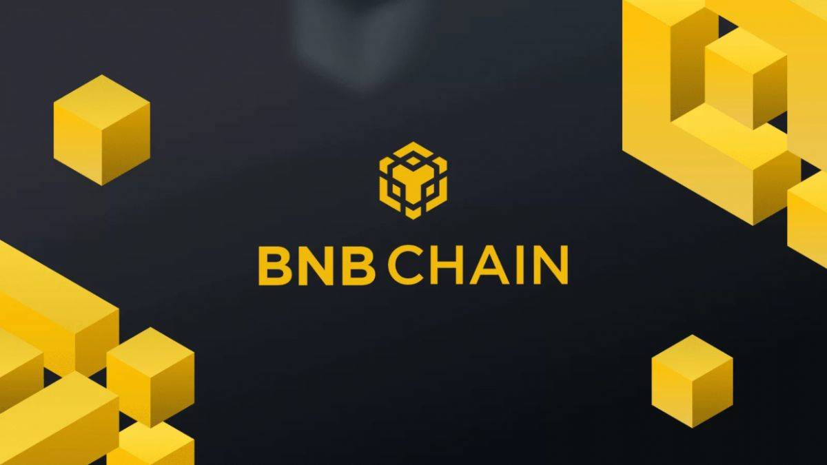 BNB nedir? BNB nasıl çalışır?