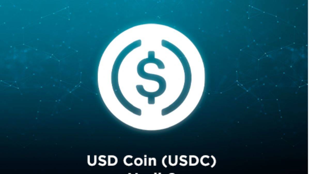 USD Coin nedir? USD nasıl çalışır?