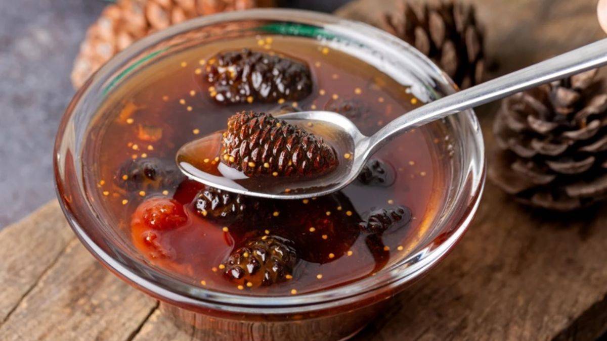 Çam kozalağı pekmezi öksürüğü kesiyor